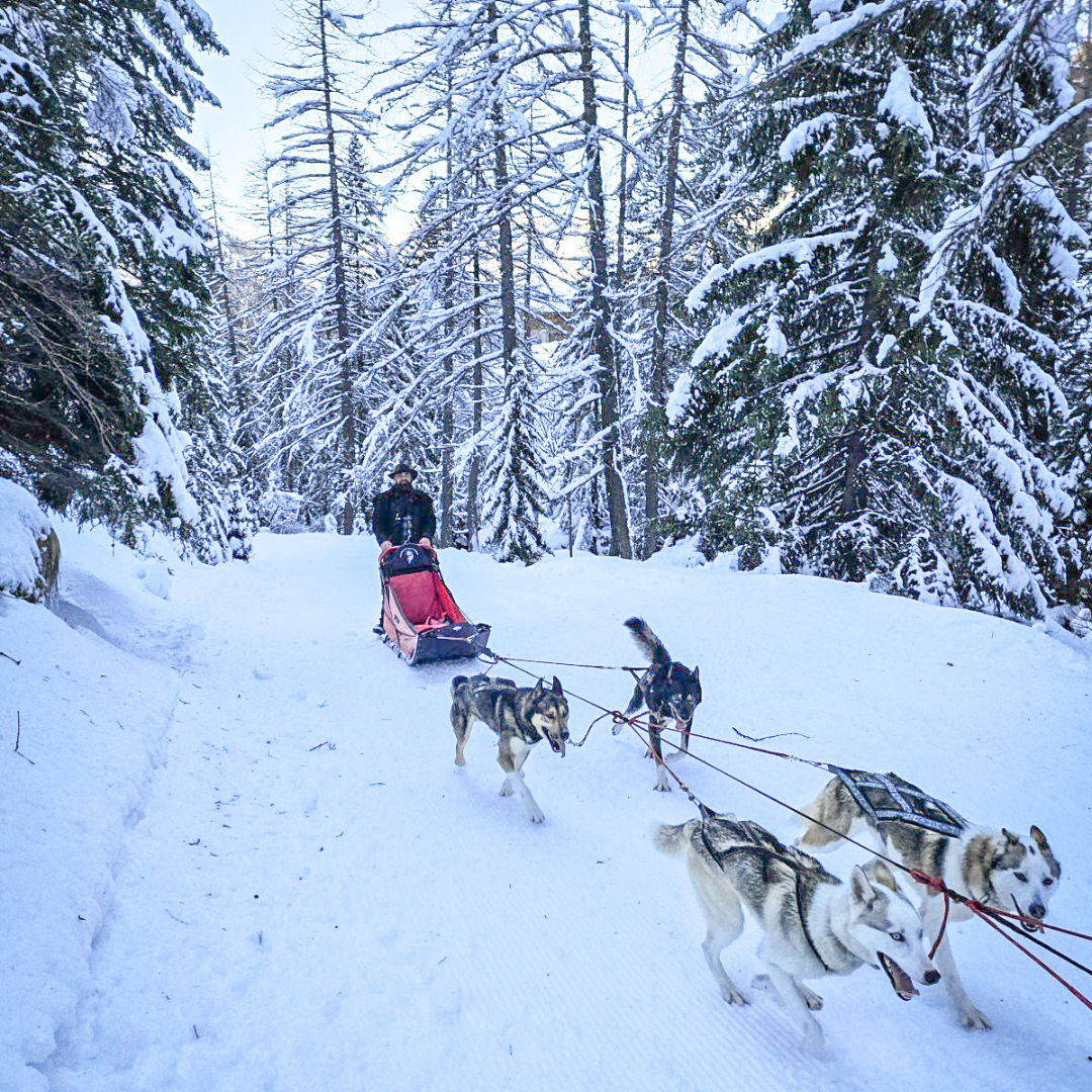 Isola 2000 | Un séjour pour 4 personnes